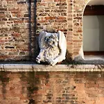 Lägenhet Ca' Margarita Venedig